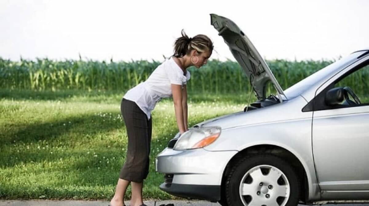 ve sinh kim phun o to